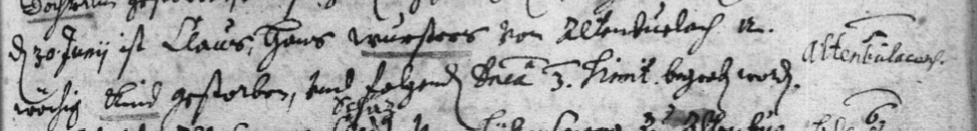 Auszug aus dem Kirchenbuch aus dem Jahr 1655